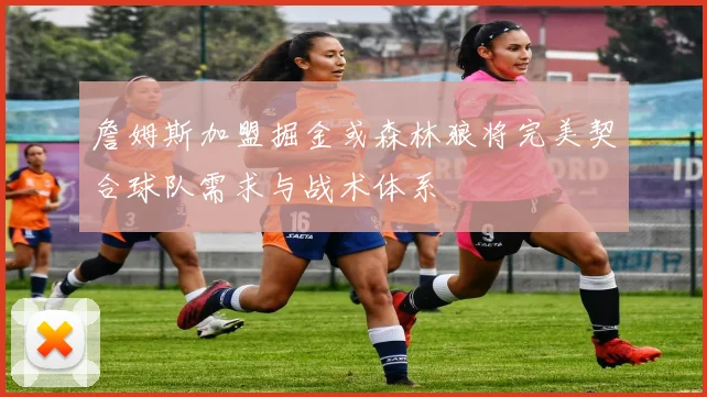 詹姆斯加盟掘金或森林狼将完美契合球队需求与战术体系